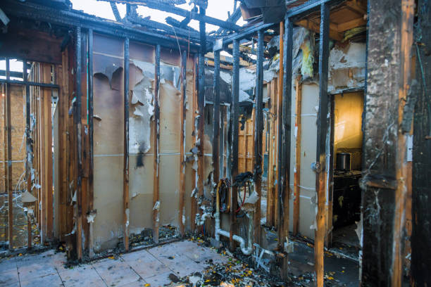 Professional Odor Removal technician working in Cypress Quarters, FL